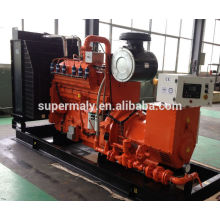 20kva30kva 40kva 50kva 60kva 70kva 80kva 100kva LPG gas generator